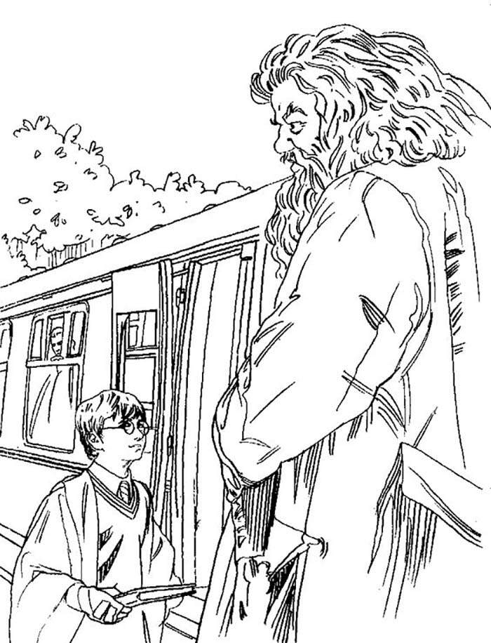 Hagrid et Harry avant son départ