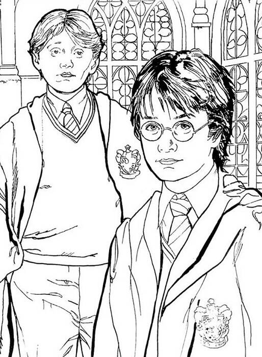 Ron Weasley et Harry en cape de sorcier